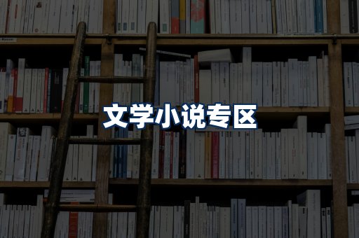 文学小说PDF展示